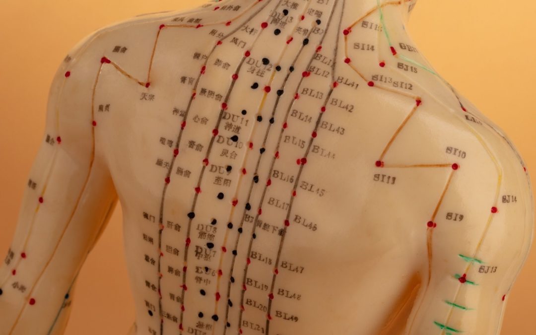 image of acupuncture points