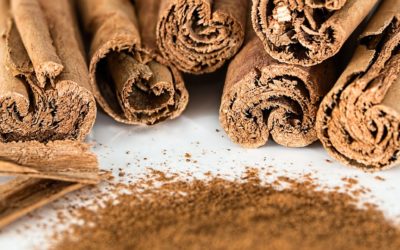 the role of cinnamon in chinese medicine