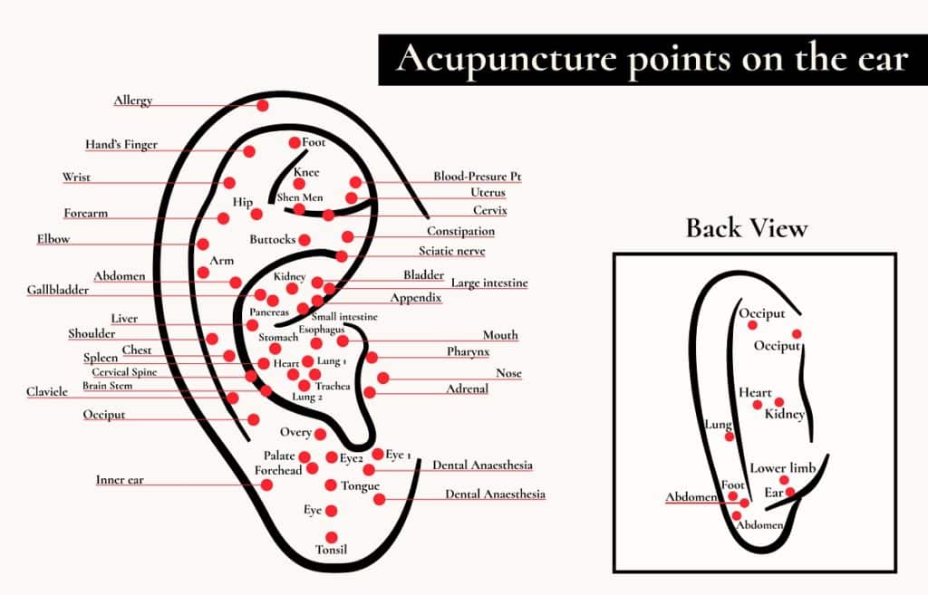 acupuncture chart for ear