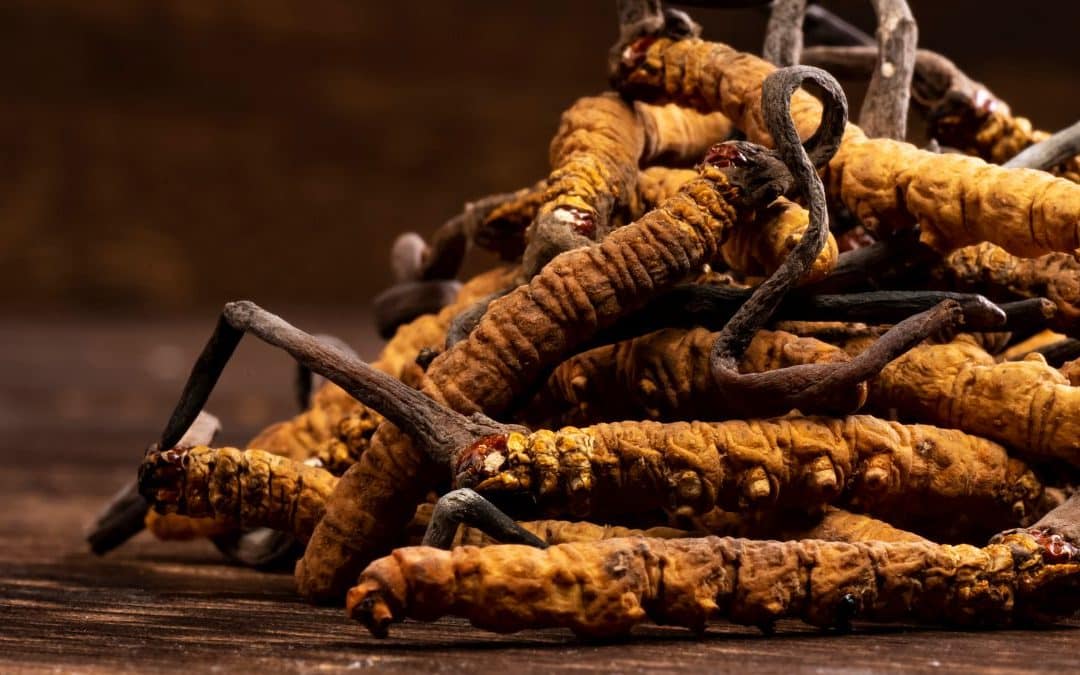 The Role of Cordyceps Mushrooms in Chinese Medicine